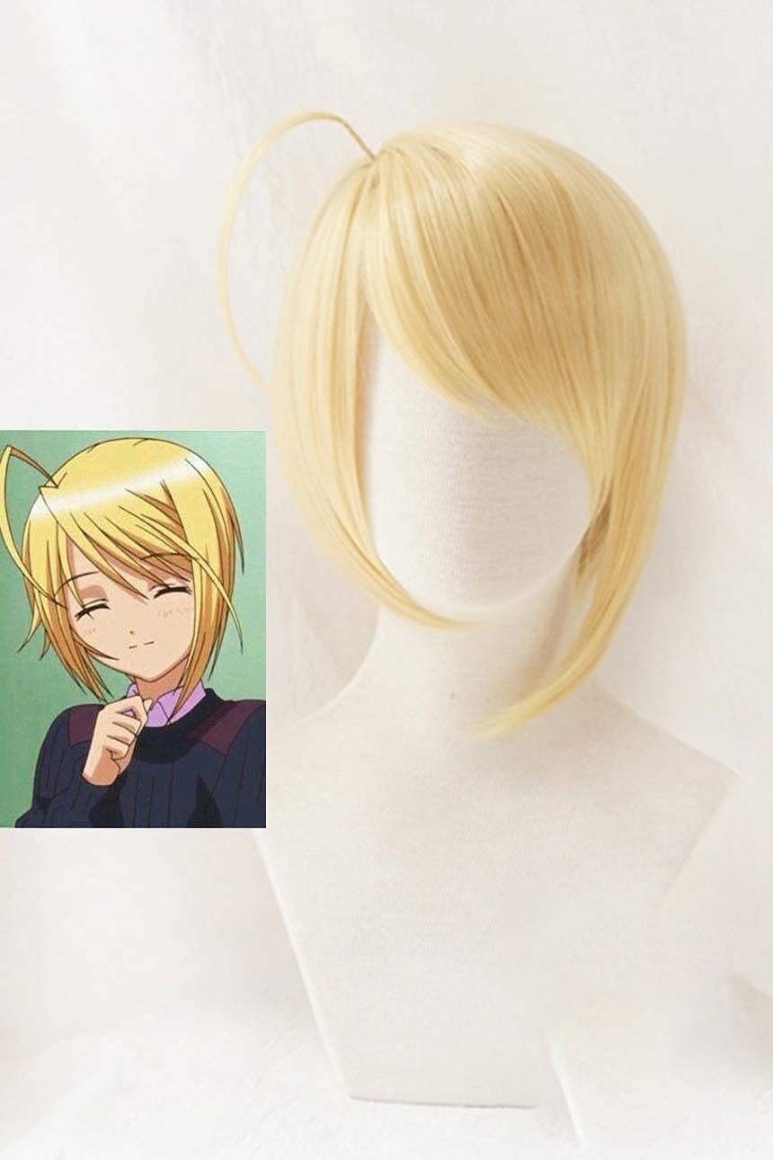 Amazon.co.jp: 【即納】しゅごキャラ！辺里唯世 ほとりただせ ウイッグ